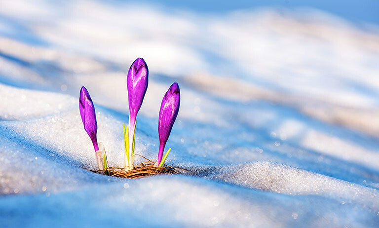 © Smitt/iStock/Getty Images Plus