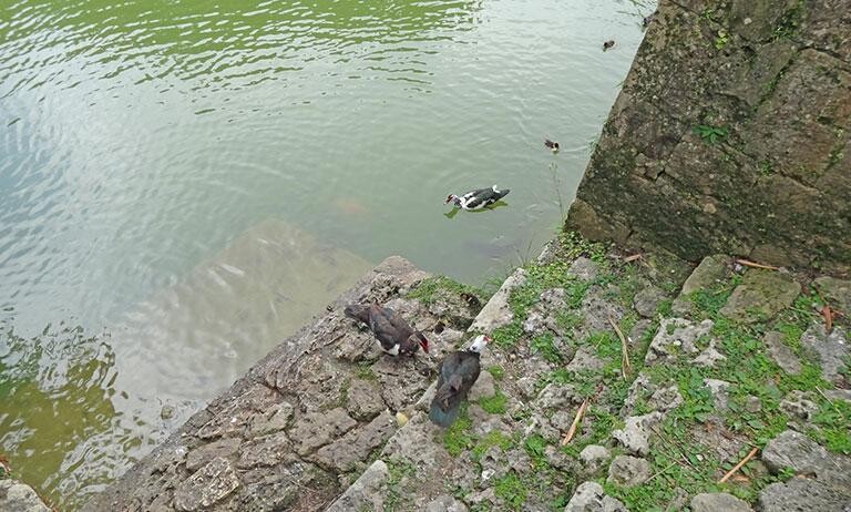 © ES3N/iStock/Getty Images Plus