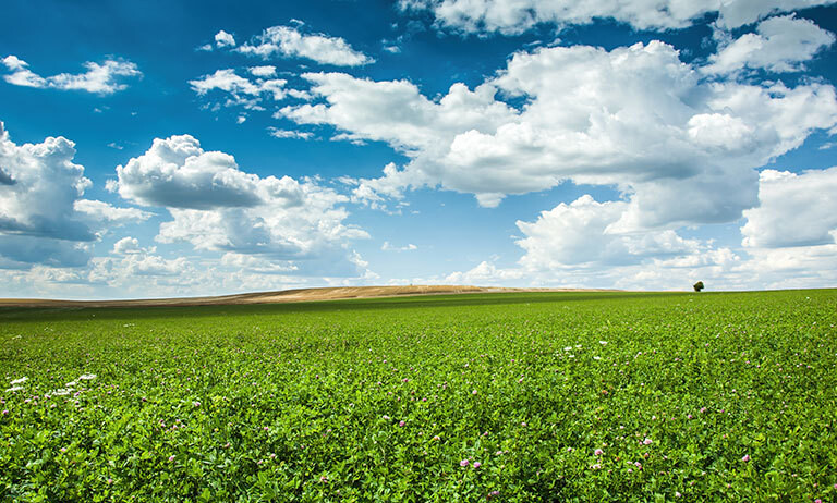 20201231_Mehlenbacher