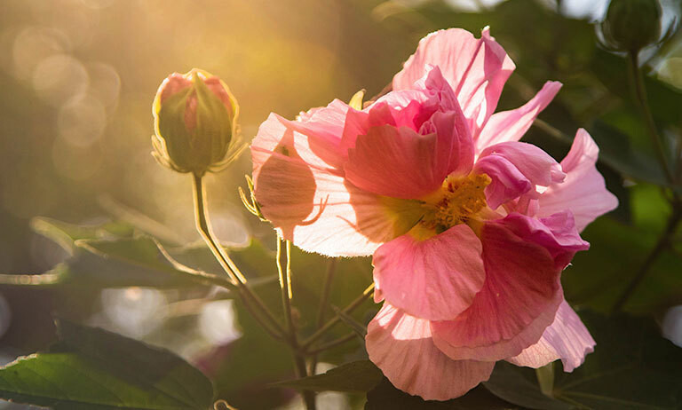 04/10/2023__Frizotti