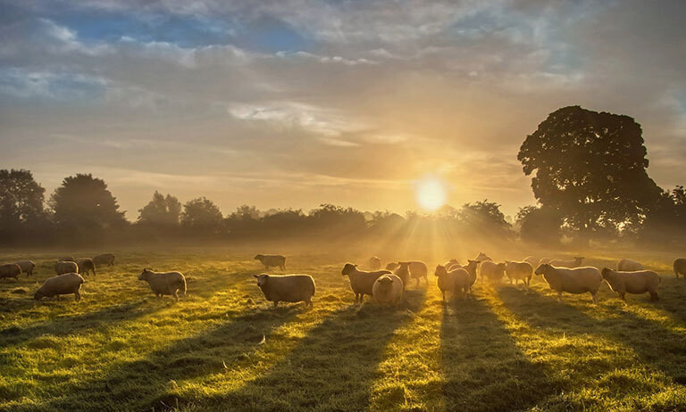 05/05/2023__Schaefer