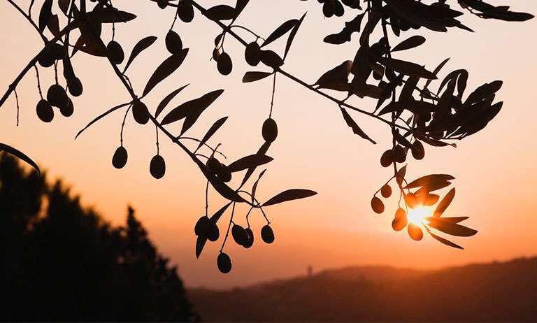 05/18/2023__Guagilardo