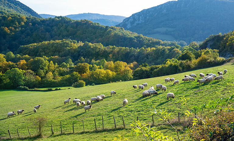11/03/2023__Mehlenbacher