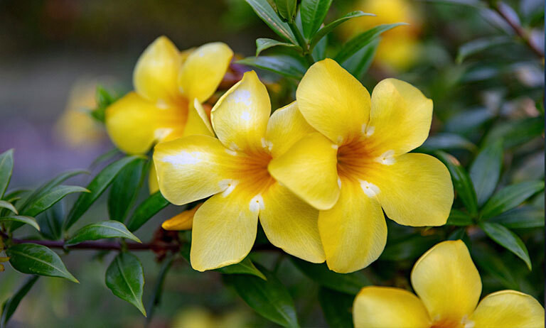 2023/07/12/2023__Gort 