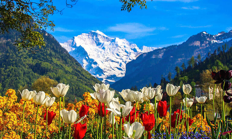 03/01/2024__Rosenkranz