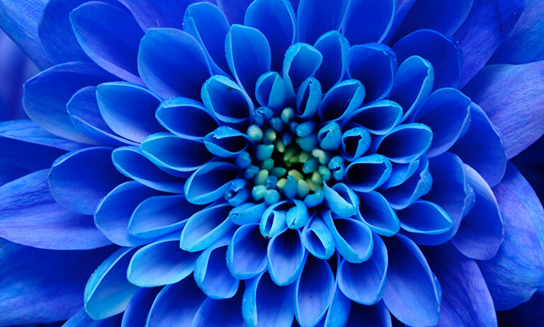 03/24/2024__Clements