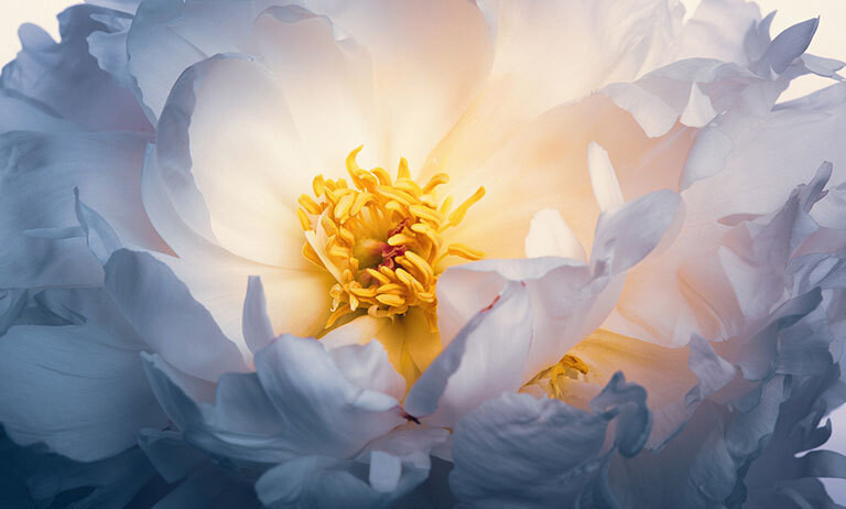 04/12/2024__Mitchinson