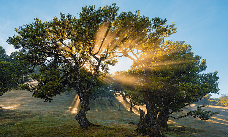 08/15/2024__Diepenbruch